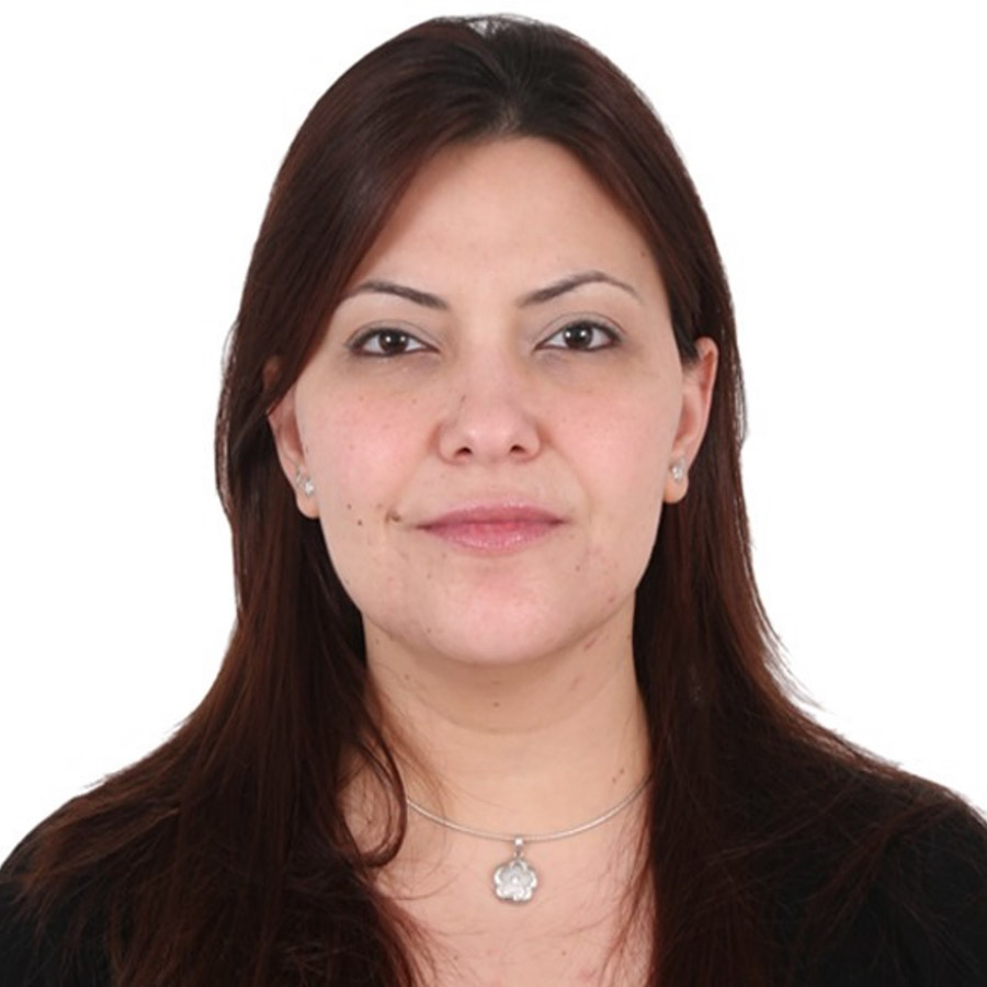 Alt of image