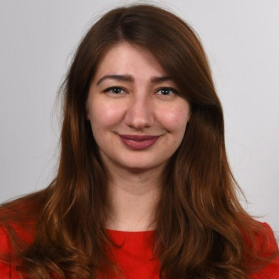 Alt of image